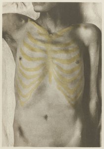 Anatomisk foto av en mannelijk lijk: 'de vorm van de borstpartij in relatie tot het skjelett' (Brystets form i forhold til skjelettet) Atlas over menneskelig anatomi til bruk for kunstnere: reproduksjon og illustrasjon, anatomisk av Giulio Chiarugi (attributed to)