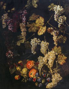 Stilleben med druer, vinblader og annen frukt, oljemaleri av Giuseppe Recco (1634-1695)