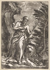 Saint Hieronymus i villmarken