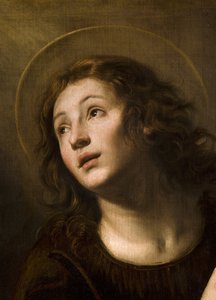 Evangelisten Johannes
