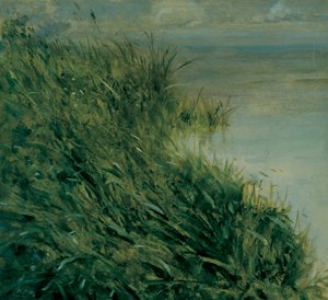 Studie av myr av Giuseppe or Joseph de Nittis