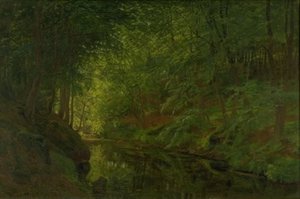 En bekk i Sæbygaard Wood, Vendsyssel, Jylland