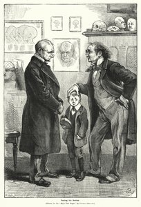 Føler støtene hans (gravering) av Gordon Frederick (after) Browne