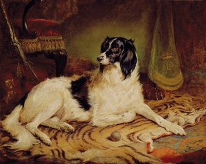 'Minna', en favoritthund til James, Marquess of Dalhousie av Gourlay Steel