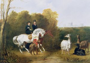 Dronning Victoria (1819-1901) og prins Albert (1819-61) ser på lamaene i House Park, Windsor, ca. 1845