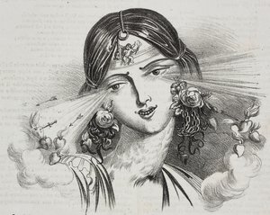 Feminin skjønnhet, karikatur av Jean-Jacques Grandville (1803-1847), litografi av Gaetano Riccio fra Poliorama Pittoresco, n 20, 24. desember av Grandville
