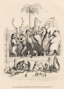 Samtale mellom dyr. Miniatyrbilder illustrert av JJ Granville. Gravering signert Breviere i prologen med tittelen "Parlamentary Summary" skrevet av PJ Stahl i "Scener fra dyrenes private og offentlige liv". Paris, J. Hetzel og Paulin av Grandville