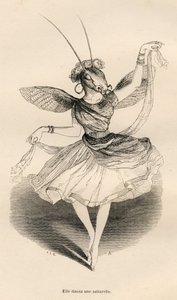 Hun danset en saltarell. Miniatyrbilder illustrert av JJ Granville. Gravering signert Andrew, Best og Leloir i delen med tittelen "The adventures of a butterfly" skrevet av PJ Stahl i "Scener fra dyrenes private og offentlige liv". Paris, J. Hetzel og Pau av Grandville
