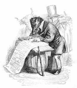 Grandville-gravering fra boken «Dyrs private og offentlige liv (Les animaux painted par eux memes)», Hetzel-utgave 1867 - Karikatur: villsvin som skriver en underskriftskampanje.