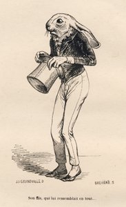 Feig hare i dandy kostyme. Miniatyrbilder illustrert av JJ Granville. Gravering signert Breviere i delen "Story of a hase" skrevet av PJ Stahl i "Scener fra dyrenes private og offentlige liv". Paris, J. Hetzel og Paulin av Grandville