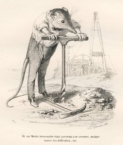 Markmus som stikker hull på bakken. Vignetter illustrert av JJ Granville. Gravering signert Breviere i delen med tittelen "Memories of an old crow" skrevet av PJ Stahl i "Scener fra dyrenes private og offentlige liv". Paris, J. Hetzel og Paulin av Grandville
