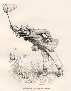 Fuglejager etter sommerfugler. Vignetter illustrert av JJ Granville. Gravering signert Andrew, Best og Leloir i delen med tittelen "En rev fanget i fellen" skrevet av Charles Nodier i "Scener av dyrenes private og offentlige liv". Paris av Grandville