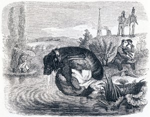 Hunden som gir fra seg byttet for skyggen - Fables av La Fontaine av Grandville