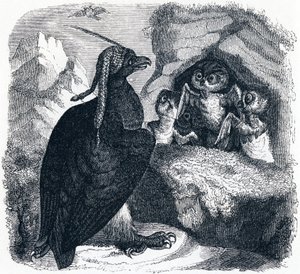 Ørnen og uglen (L