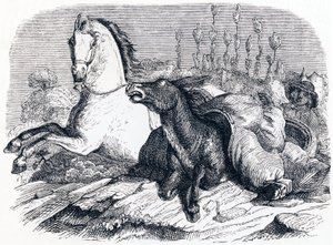 Hesten og eselet - Fabler av La Fontaine av Grandville