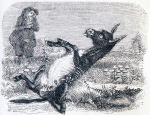 Den gamle mannen og reven (Le vieillard et l