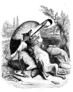 Ulven og storken: La Fontaine-fabelen illustrert av Grandville. Utgave Garnier 1860. Storken er representert som en lege (feil belønning for hans devouement!).