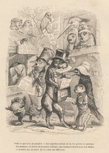 Her er det som nettopp dukket opp. Katt og fugl selger denne boken for seks øre. Miniatyrbilder illustrert av JJ Granville. Gravering signert Andrew, Best og Leloir i prologen med tittelen "Parlamentary Summary" skrevet av PJ Stahl i "Scenes de la vie" av Grandville