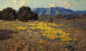 California valmuer av Granville Redmond
