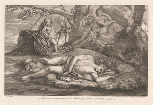 Narcissus i ekko Narcissus metamorfosert til en blomst som bærer navnet hans (tittel på objektet)
