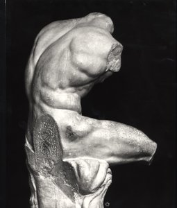 Belvedere torso (marmor) (s/hvitt bilde) av Greco Roman Greco Roman