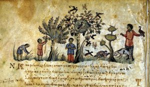 Jakt med falken og fangst av fuglereir. Gresk manuskript av Oppianus De Venatione 1200-tallet. av Greek School