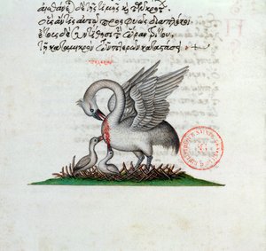 Ms 3401 En pelikan som piercerer brystet for å mate ungene sine, fra et bestiary av Manuel Philes, 1566 av Greek School