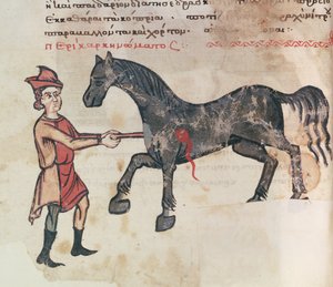 Ms Grec 2244 fol.37v Opererer en hest av Greek School