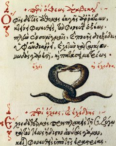 Slangekobling, test og miniatyr fra De animalium natura et proprietate libellus, av Aelianus (2.-3. århundre e.Kr.) av Greek School