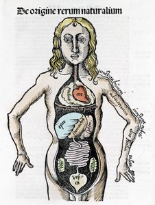 Gregor Reisch (1467-1525), Bale 1517 - Margaret av Philosophica (1467-1525), Bale