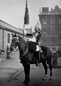 Squadron Corporal Major for 1st Life Guards med standard, 1896. av Gregory and Co