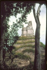 Inskripsjonenes tempel, ca. 700 e.Kr av Guatemalan School