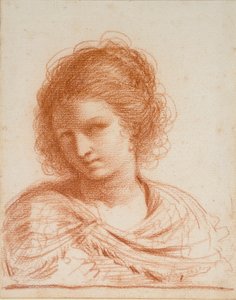 Leder for en ung kvinne, 1550-1666 av Guercino
