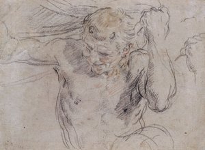 Et Satyrløftende draperi, og en understudie av hans venstre hånd av Guido Reni