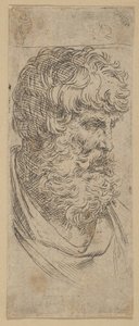 Byste av en skjeggete mann, ca. 1600-1640. av Guido Reni