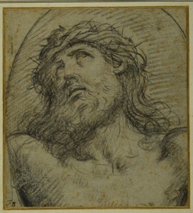 Hode og skuldre til den levende Kristus korsfestet (svart kritt på carta azzurra) av Guido Reni