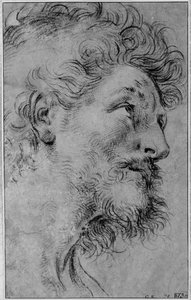 Studie av Sankt Crispins hode av Guido Reni