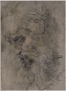 Hodet av den hellige Paulus Eremitten av Guido Reni