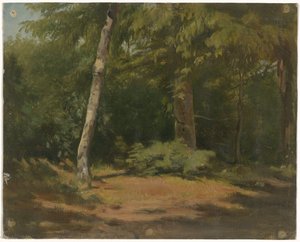 Åpen plass i skogen