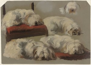 Studier av en hvit fanghund av Guillaume Anne van der Brugghen