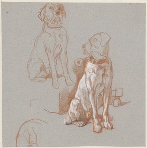 To studier av en sittende hund av Guillaume Anne van der Brugghen