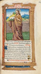 Trykt Timebok Bruk av Roma: fol. 98r, Døperen Johannes, 1510. av Guillaume Le Rouge