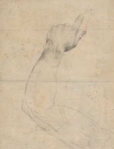 Studie av en arm [verso]