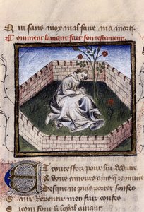 Representasjon av en forelsket ung gutt i gledens hage som oppdager fontenen til Narcissus, miniatyr i "Roman de la Rose" av Guillaume Lorris