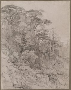 Trær i en steinete åsside av Gustave Achille Guillaumet