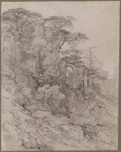 Trees of a Rocky Hillside, sent på 1800-tallet. av Gustave Achille Guillaumet