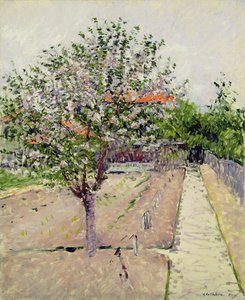 Epletre i blomst, ca. 1885 av Gustave Caillebotte