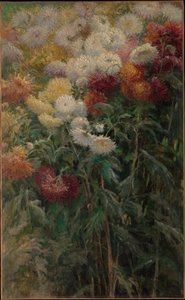 Krysantemum i hagen i Petit-Gennevilliers av Gustave Caillebotte