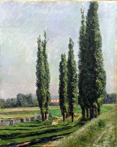 Popler på elvebredden ved Argenteuil (olje på lerret) av Gustave Caillebotte