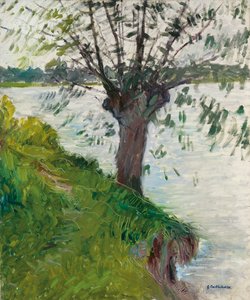 Pil ved elven; Saule au bord de la riviere, ca. 1891 av Gustave Caillebotte